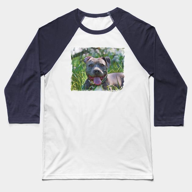 Pit Bull Terrier Baseball T-Shirt by PhotoArts